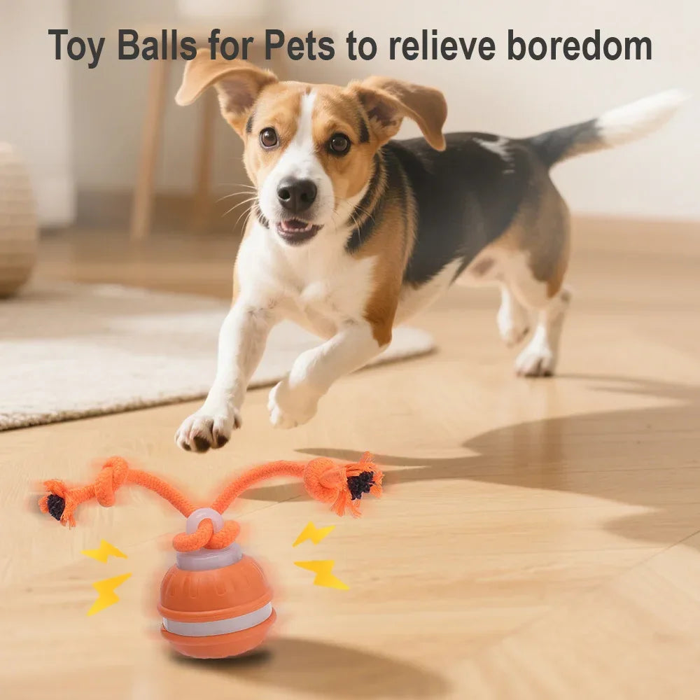 RolliPlay™ Smart Interactive Pet Ball – Automatic Moving Dog & Cat Toy for Endless Chase Fun