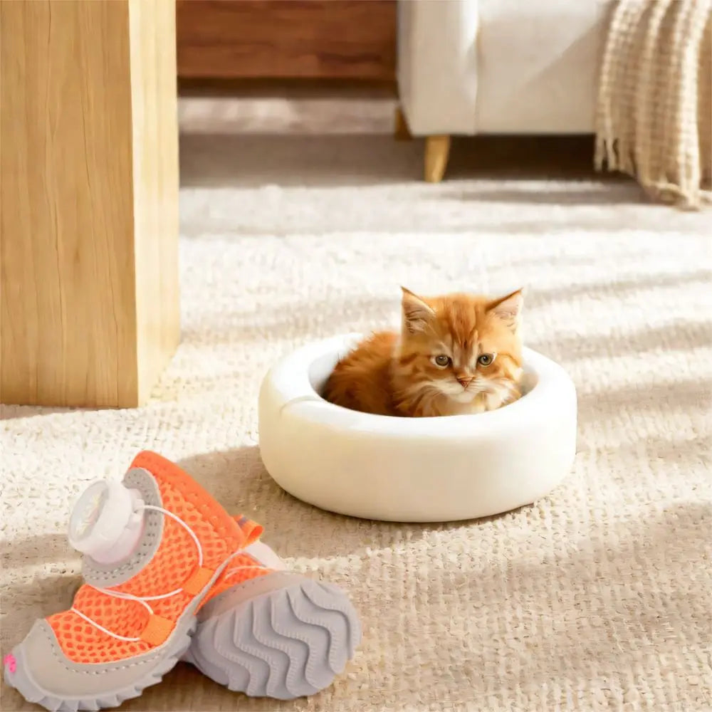 PawGuard™ Cozy Button Shoes 🛡️🐾