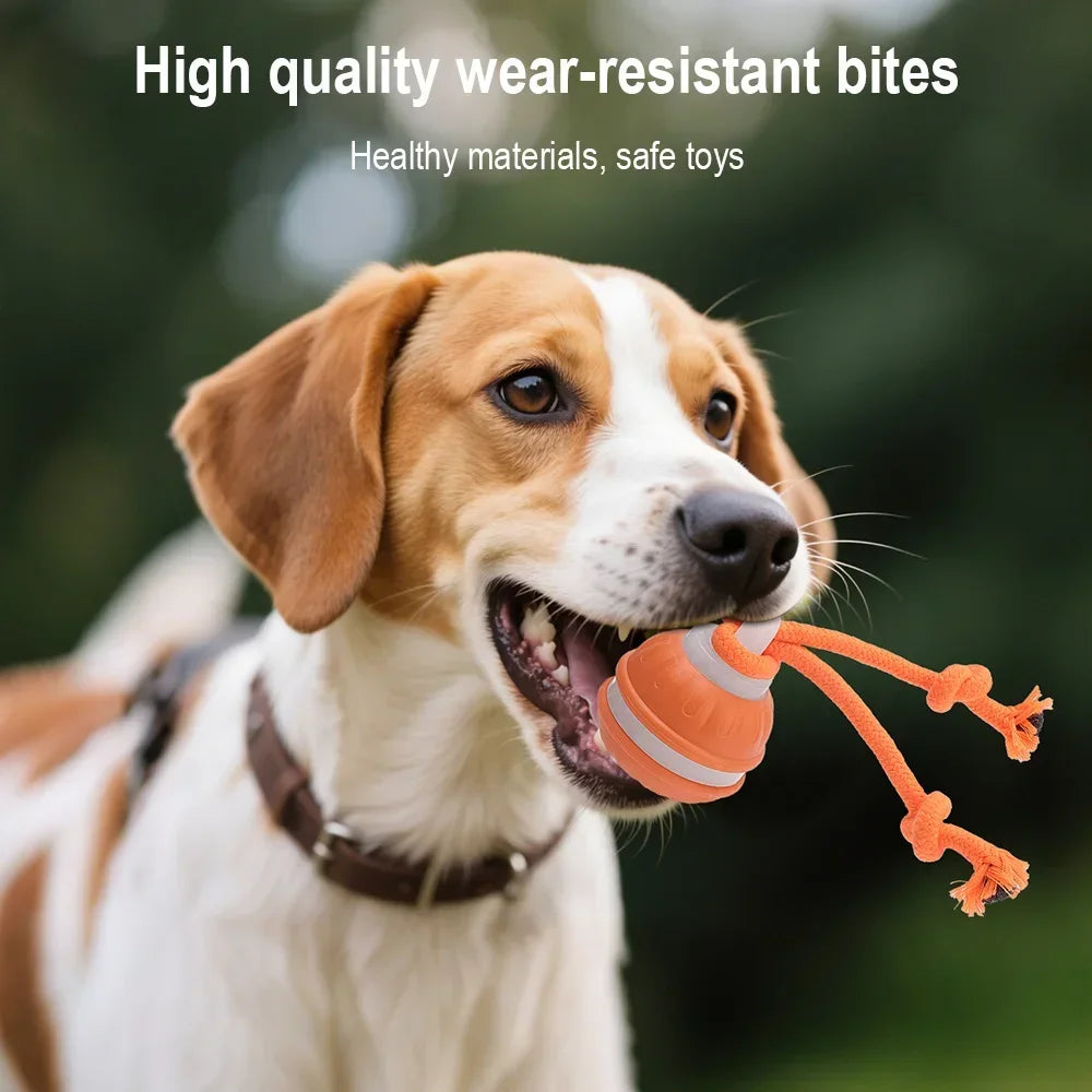 RolliPlay™ Smart Interactive Pet Ball – Automatic Moving Dog & Cat Toy for Endless Chase Fun